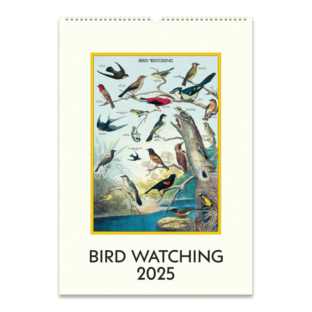 Birdwatching Wall Calendar