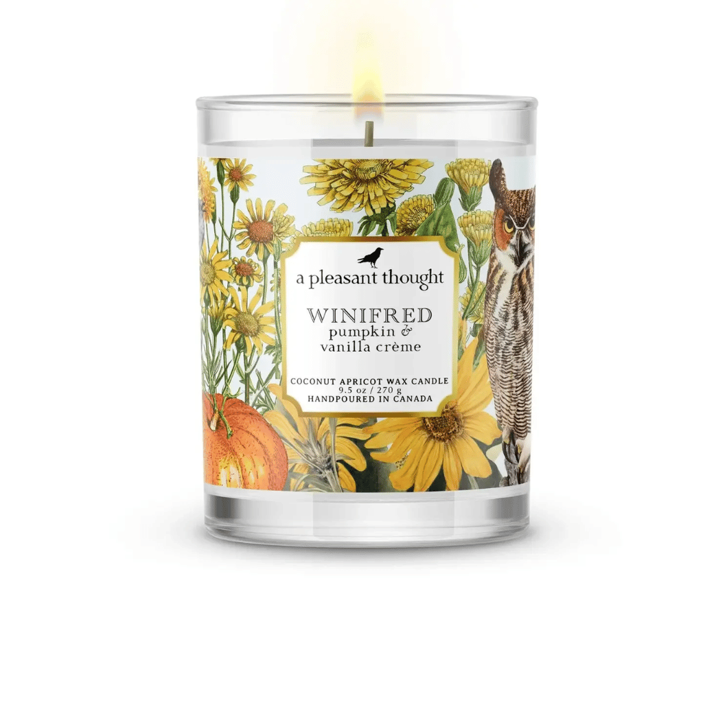 b05186c2WinifredPumpkinVanillaCremeJarCandle.png