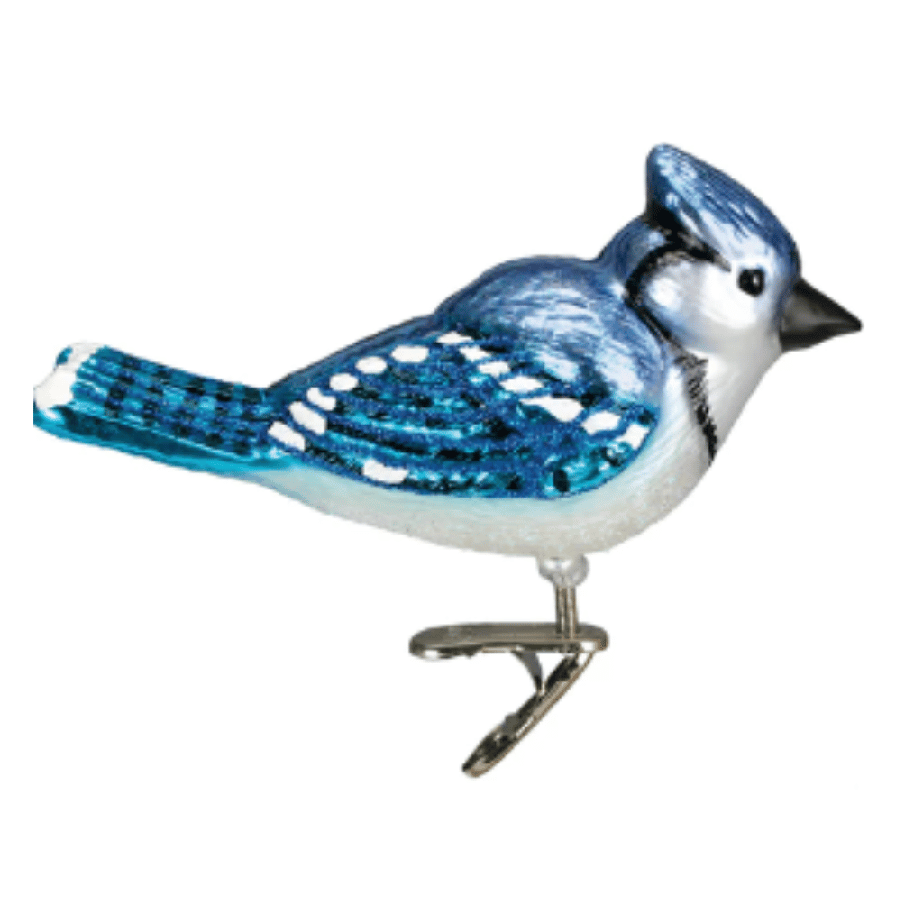 bluejay.png